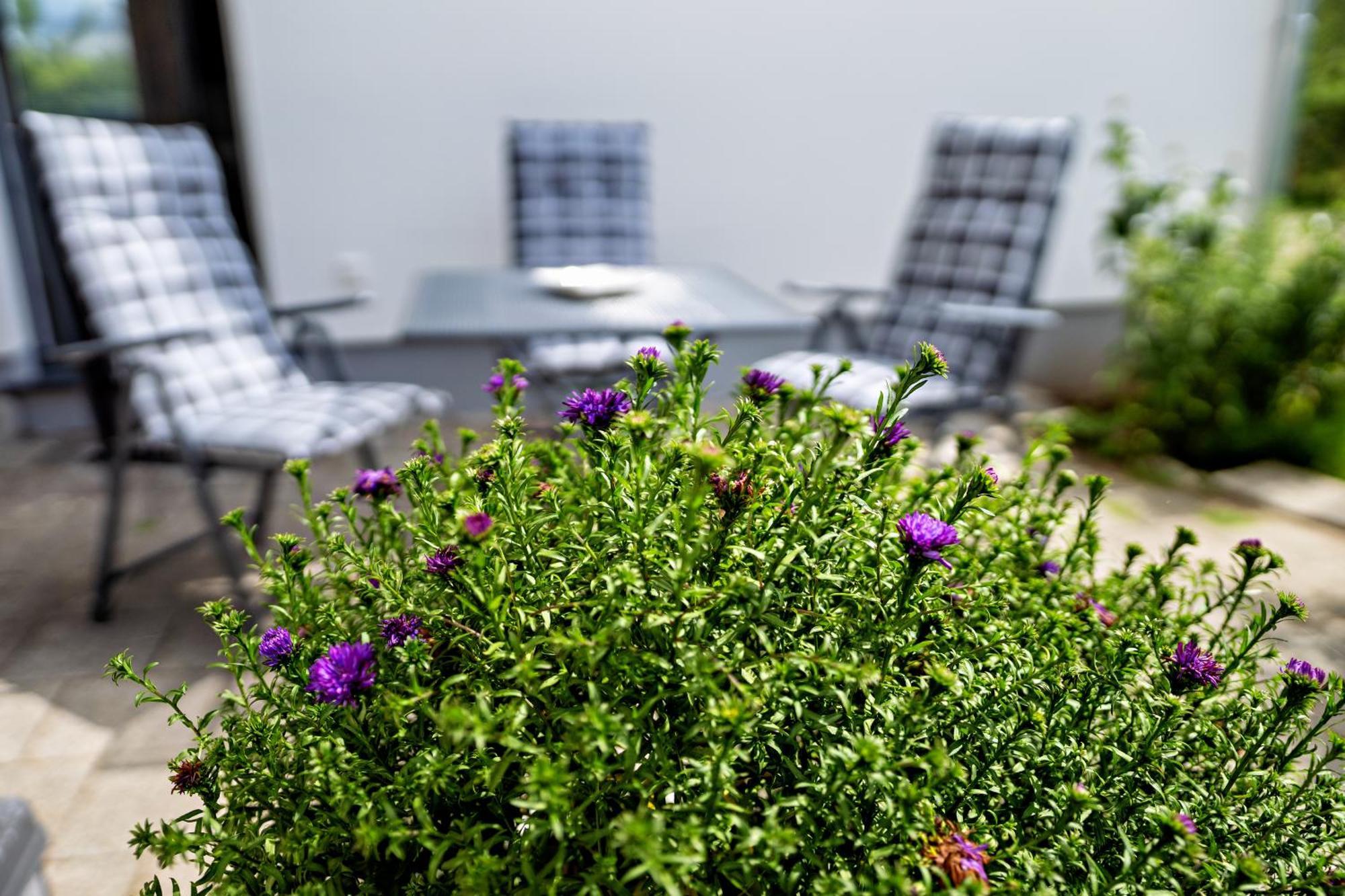Appartement 2 - Duenenblick Börgerende-Rethwisch Eksteriør bilde